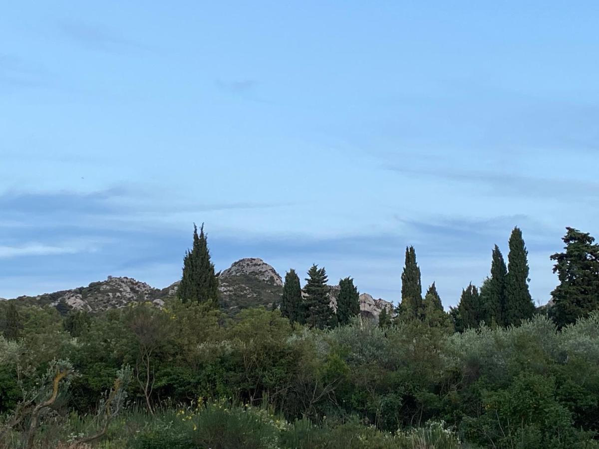 Mas De La Cadeniere Villa Saint-Rémy-de-Provence Exterior photo